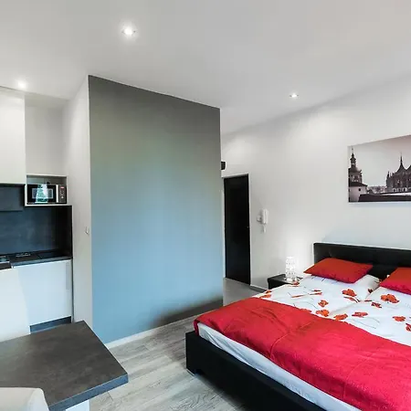 Guest house Hotel Apartments Benesova 6 3*